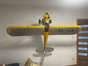 Hangar 9 Carbon Cub